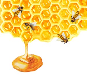 Bees on a honeycomb