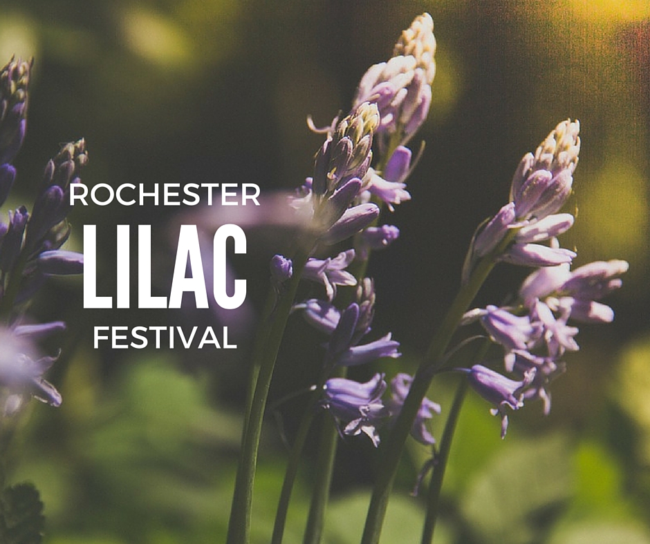 Rochester Lilac Festival logo