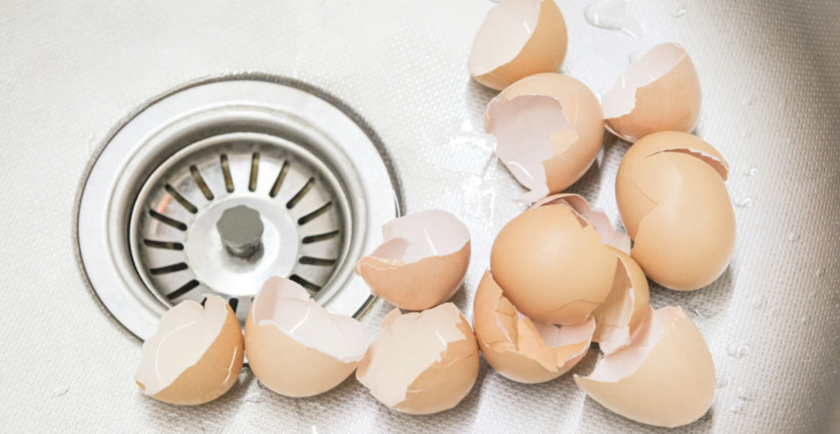 Eggshells in the bottom of a sink