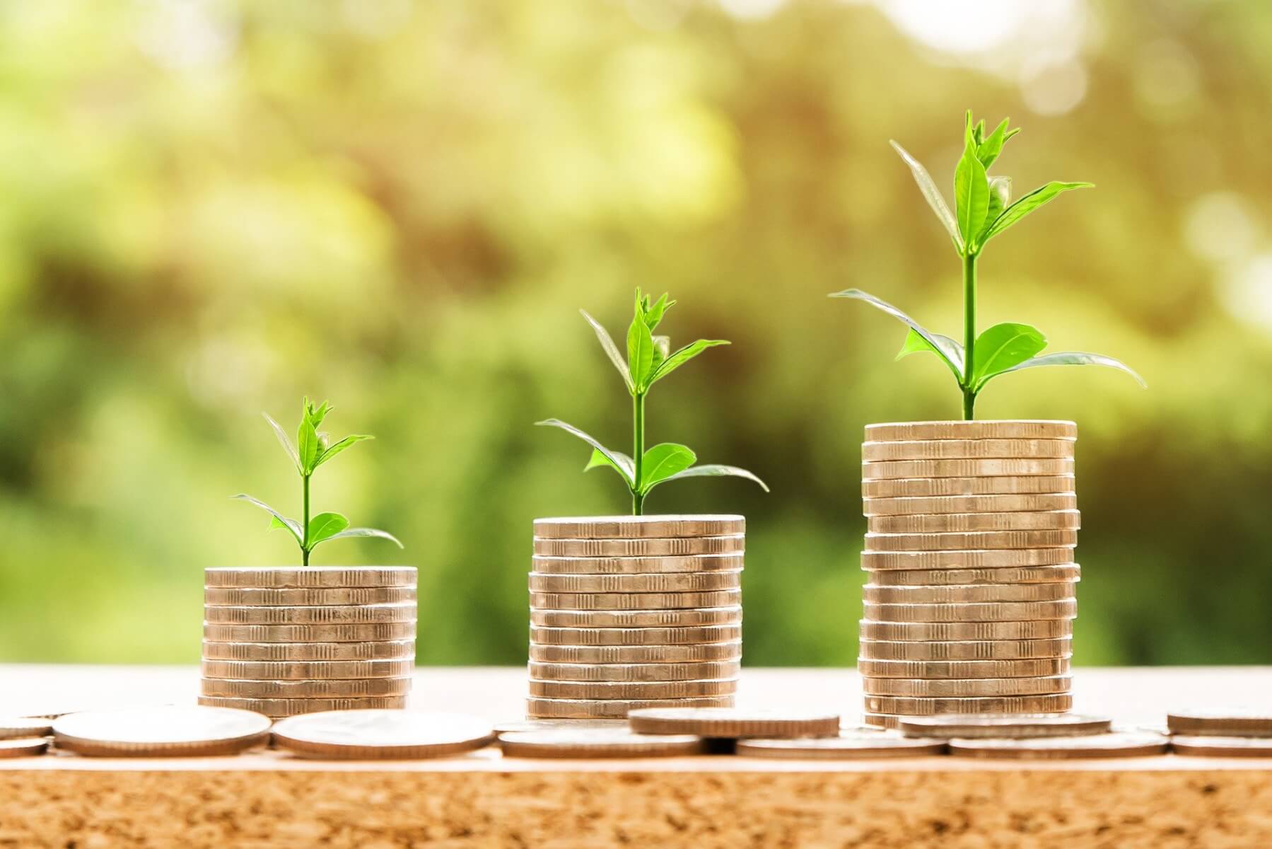 Stacked coins with plants growing from their tops