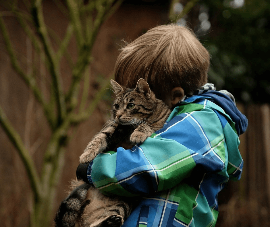 Young boy holding a cat