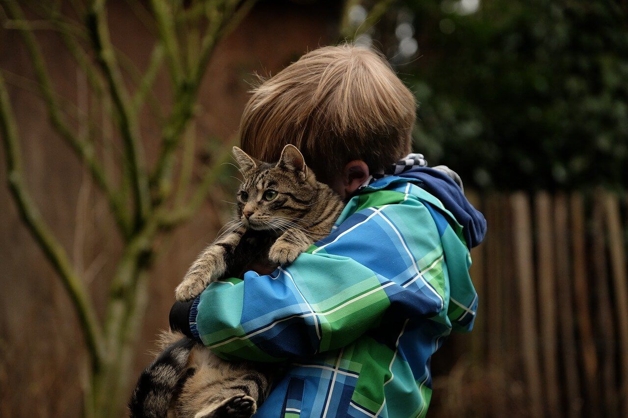 Young boy holding a cat