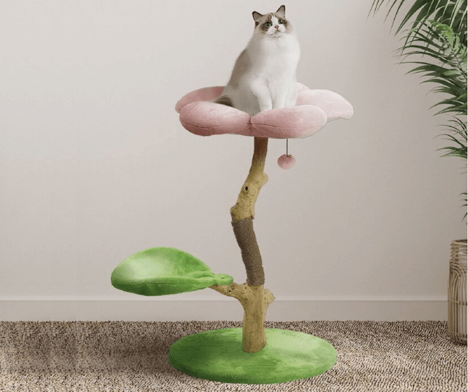 White cat sitting at the top of a cat tree